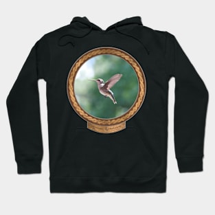 Paused Hummingbird #1 Hoodie